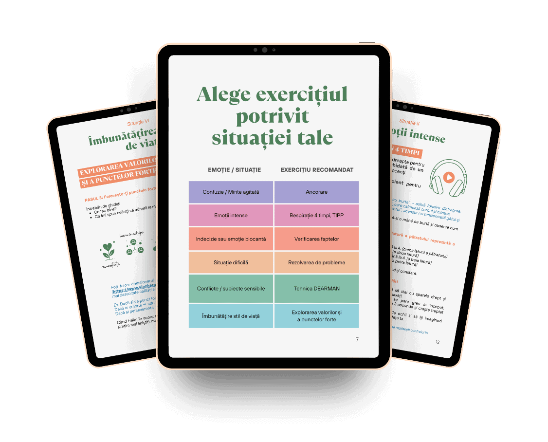 https://inocenti.ro/wp-content/uploads/2025/06/Ghid-reglare-emotonala-structura-1.png